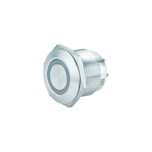 illuminated momentary push button